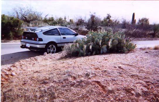 Honda_CRX_Cactus
